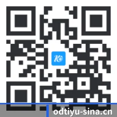 iOS 苹果版 二维码